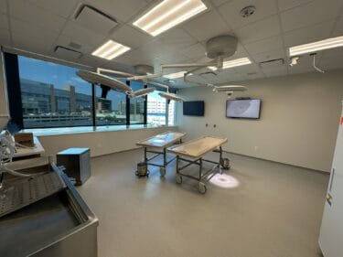 TOSH Bioskills lab